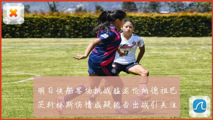 明日快船客场挑战猛龙伦纳德祖巴茨科林斯伤情成疑能否出战引关注