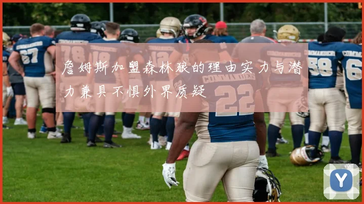 詹姆斯加盟森林狼的理由实力与潜力兼具不惧外界质疑